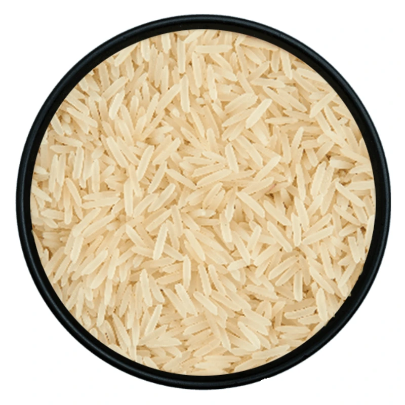 1509 Creamy Sella