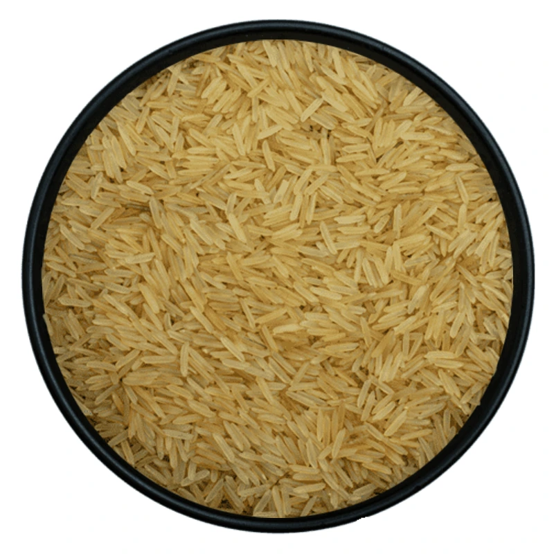 1509 Golden Sella